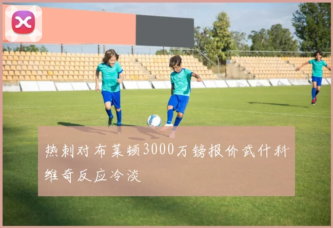 热刺对布莱顿3000万镑报价武什科维奇反应冷淡